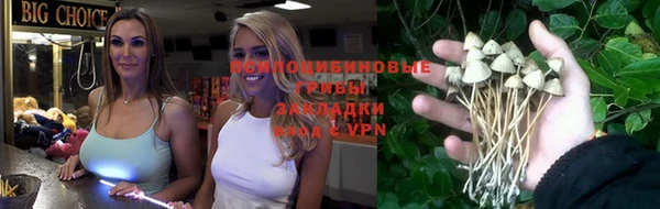 мдпв Волоколамск