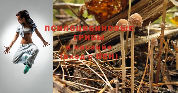 мдпв Волоколамск