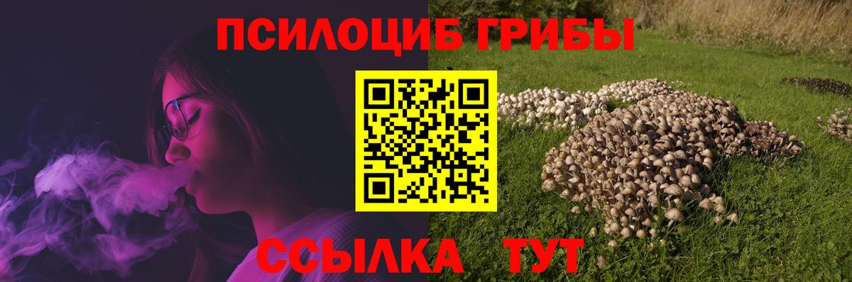 Псилоцибиновые грибы Magic Shrooms  Вход с VPN  где купить   Муром 
